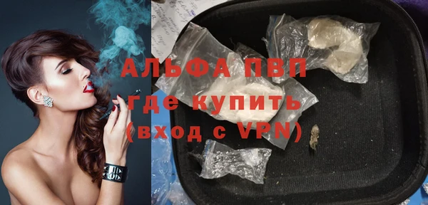 прущие грибы Волосово