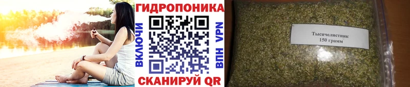 Купить закладки  Петровск-Забайкальский  Каннабис гибрид 
